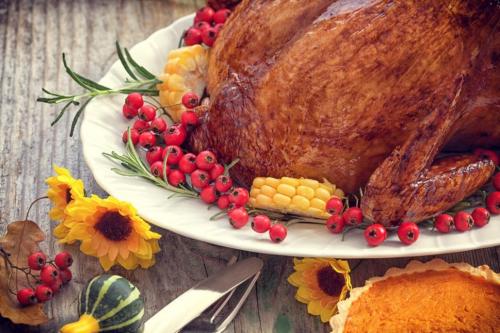 thanksgiving turkey and pumpkin pie
