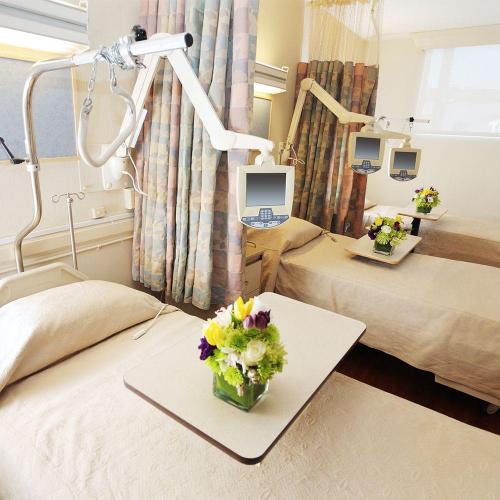 Luxury hospital beds